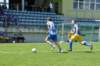 dsc_1133_small.jpg