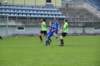 dsc_1197_small.jpg