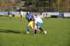 dsc_0538_small.jpg