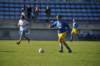 dsc_0549_small.jpg