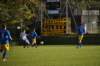 dsc_0617_small.jpg