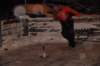 dsc_0920_small.jpg